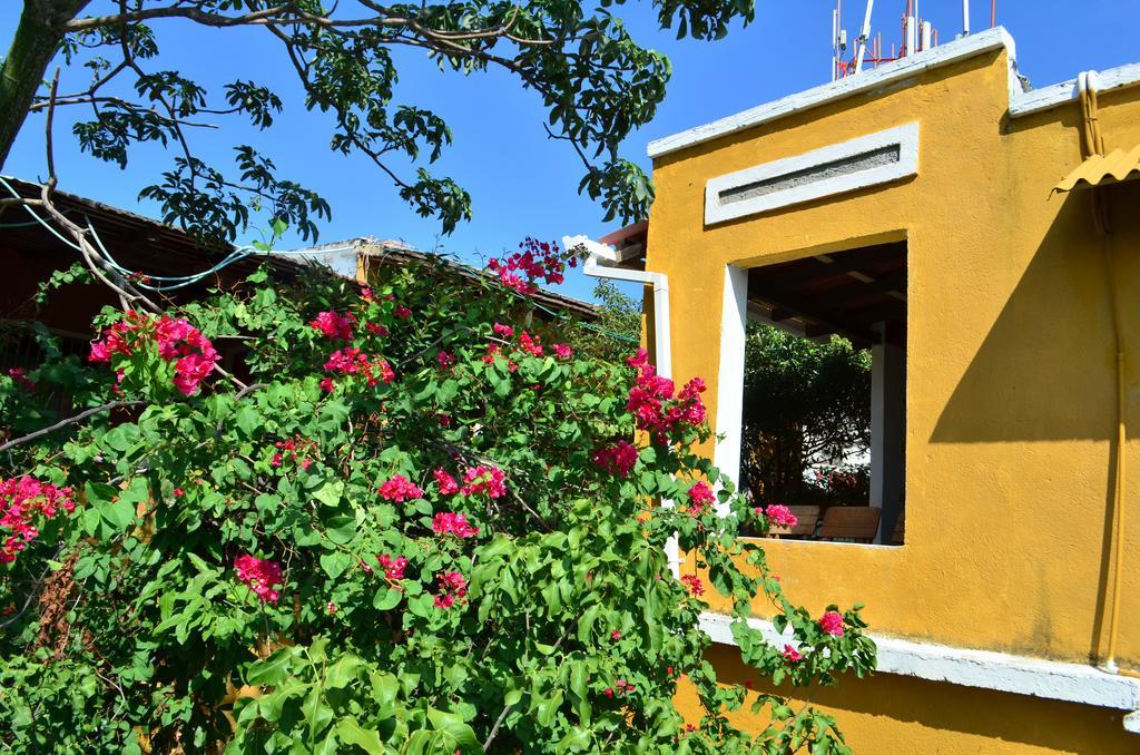Jardin Etnobotanico Villa Ludovica Santa Marta  Zimmer foto